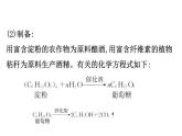 2019-2020学年新鲁科版必修2第3章 微项目 3自制米酒——领略我国传统酿造工艺的魅力课件（60张）