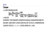 2020-2021學(xué)年新魯科版必修2第1章微項目　海帶提碘與海水提溴——體驗元素性質(zhì)遞變規(guī)律的實際應(yīng)用課件（24張）