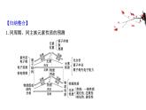 2020-2021学年新鲁科版必修2第1章第3节元素周期表的应用提升课件（30张）