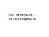 2020-2021學(xué)年新魯科版必修2第1章微項目 海帶提碘與海水提溴——體驗元素性質(zhì)遞變規(guī)律的實際應(yīng)用課件（45張）