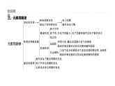 2020-2021學(xué)年新魯科版必修2第1章原子結(jié)構(gòu)　元素周期律復(fù)習(xí)課件（33張）
