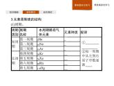 2019-2020学年新鲁科版必修2第1章　第2节　第2课时　元素周期表课件（37张）