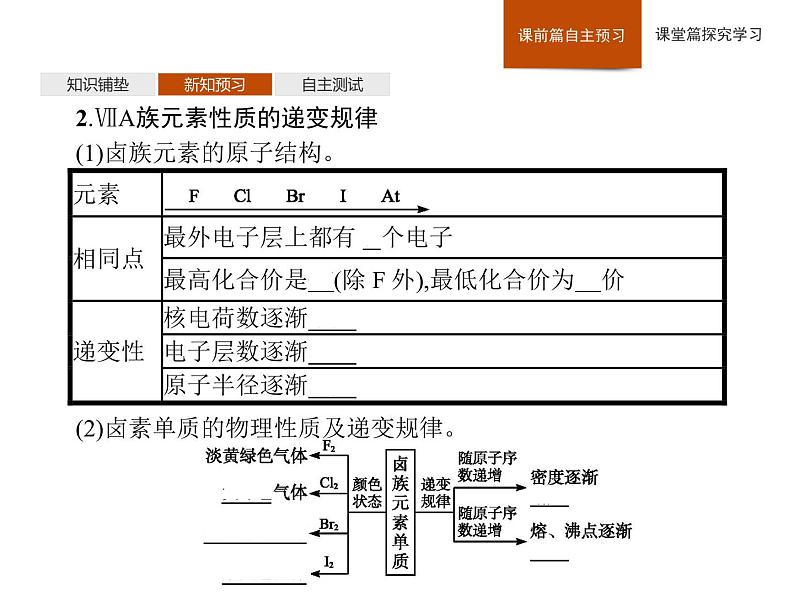 2019-2020学年新鲁科版必修2第1章　第3节　第2课时　研究同主族元素性质的递变规律课件（42张）07