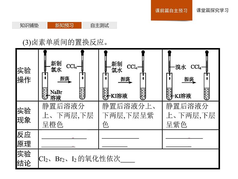 2019-2020学年新鲁科版必修2第1章　第3节　第2课时　研究同主族元素性质的递变规律课件（42张）08