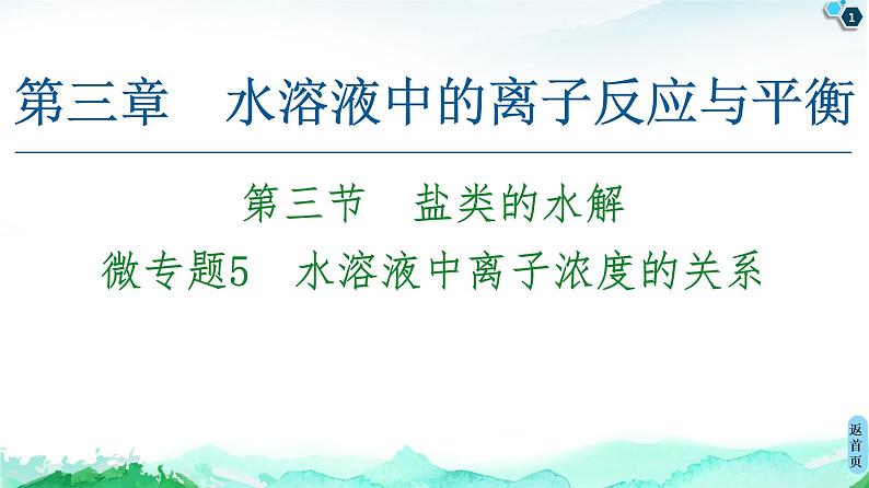 2020-2021学年新人教版选择性必修1第3章 第3节　微专题5　水溶液中离子浓度的关系课件（38张）01