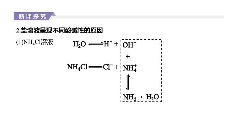 2020-2021学年新人教版选择性必修1第3章第3节盐类的水解第1课时课件（35张）04