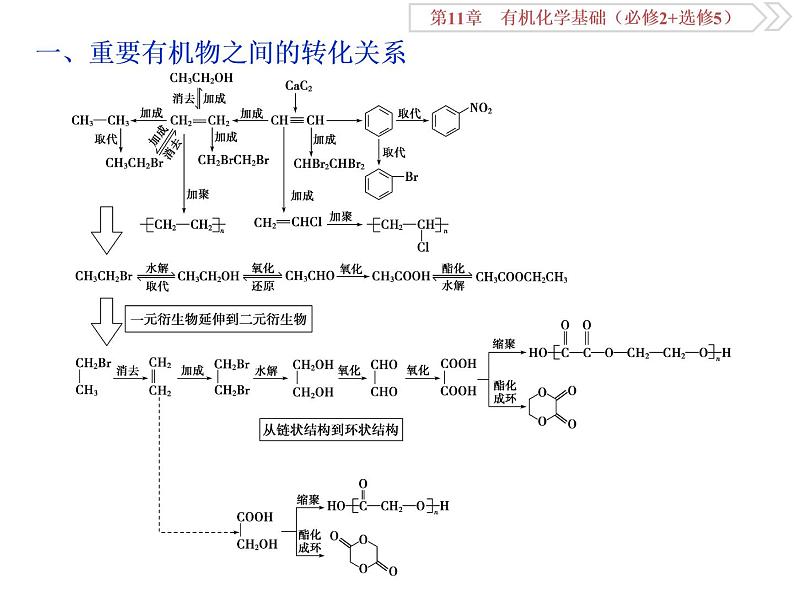 高中化学鲁科版选修五　重要有机物之间的转化关系课件02