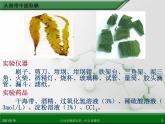 江西省鹰潭市第一中学人教版高中化学选修6 实验化学 第二章 第一节 物质的分离和提纯（第5课时） 课件