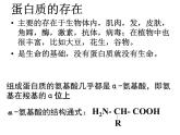 人教版化学选修5课件：4-3-1《蛋白质和核酸》（48张ppt）