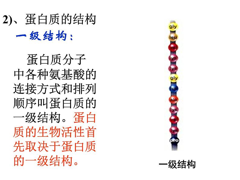 人教版化学选修5课件：4-3-3《蛋白质和核酸》（32张ppt）06