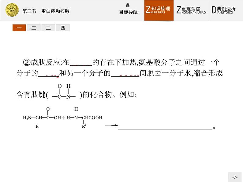 2018版高中化学人教版选修5课件：4.3 蛋白质和核酸07