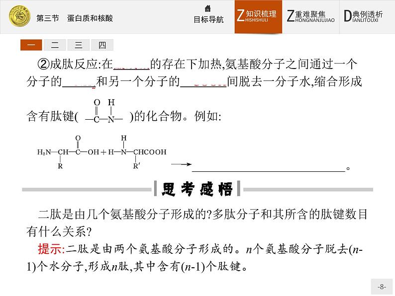 2018版高中化学人教版选修5课件：4.3 蛋白质和核酸08