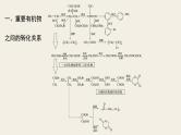 高考化学（人教）大一轮学考复习考点突破课件：第十一章　有机化学基础（选考） 本章重要有机物之间的转化关系