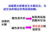 人教版（2019）化學(xué)必修二7.4.2 油脂和奶油課件PPT
