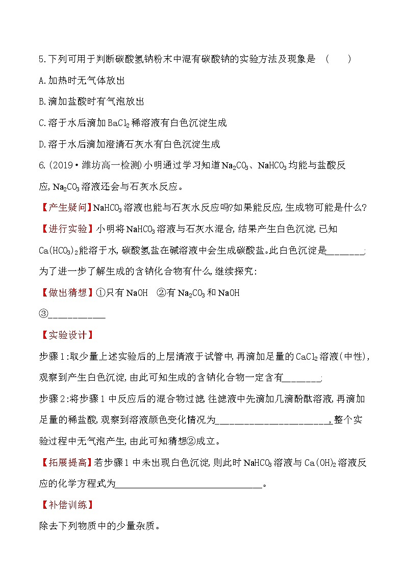 高中化学人教版（2019）必修第一册：2.1.3碳酸钠和碳酸氢钠　焰色试验作业1 练习02