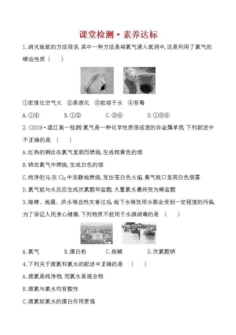 高中化学人教版（2019）必修第一册：2.2.1氯气的性质作业1 练习01