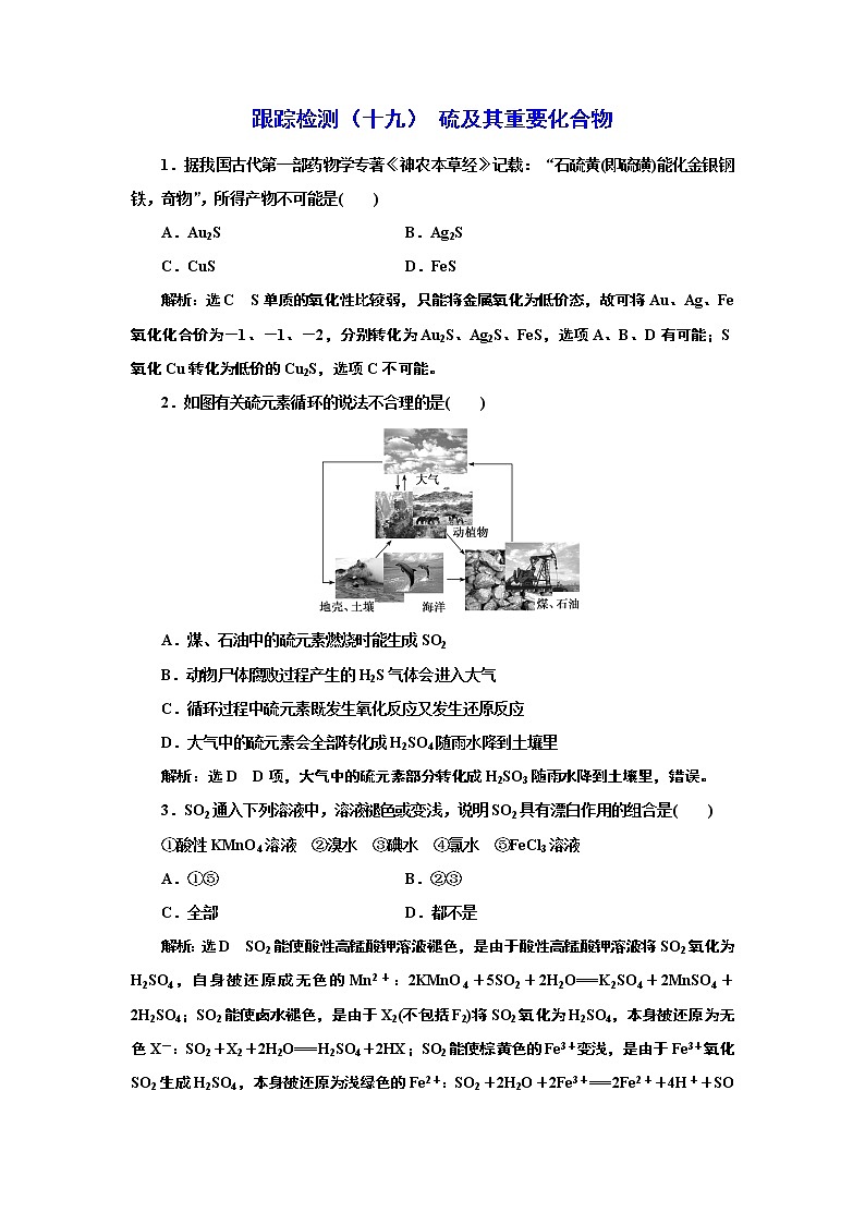 高考化学专题复习   跟踪检测（十九）  硫及其重要化合物（含解析）试卷01