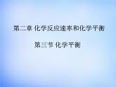 高中化学 2.3《化学平衡》课件1 新人教版选修4