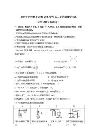 湖南省名校联盟2020-2021学年高三下学期开学考试化学试题（新高考）