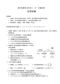 2021届重庆市强基联合体高三下学期质量检测化学（含解析）