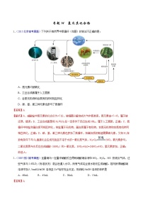 高考化学（2011~2020）真题专项练习   专题14  氮及其化合物（教师版）