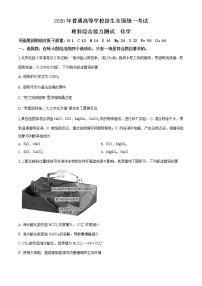 2020年高考全国2卷理综化学高考真题及答案解析（原卷+解析卷）