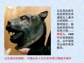 人教版（新课标）高中化学必修二《开发利用金属矿物和海水资源》课件1