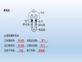 鲁科版 (2019) 高中化学 必修 第二册 第2章第2节 化学反应能量转化的重要应用—化学电池 课件