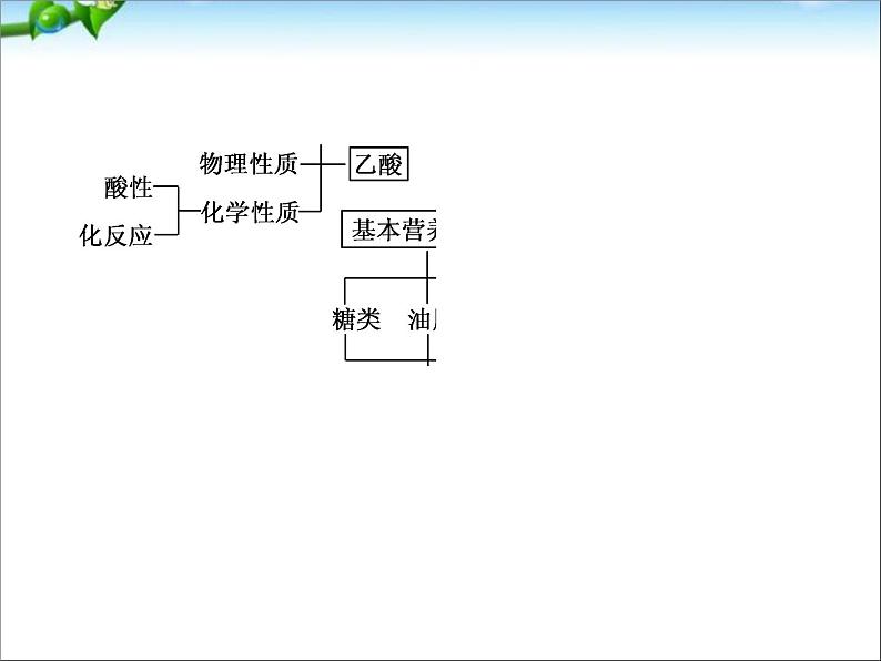 【走向高考】高考化学一轮复习9-2_乙醇 乙酸 基本的营养物质课件 新人教版第4页