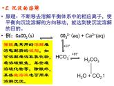 人教版高中化学选修四 3.4难溶电解质的溶解平衡第3课时（课件1）
