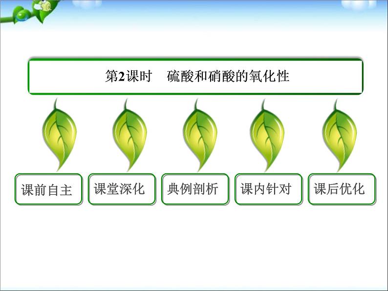 高考化学总复习重点精品课件：硝酸和硫酸02