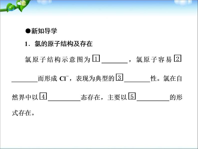 高考化学总复习重点精品课件：氯气的性质(93张)06