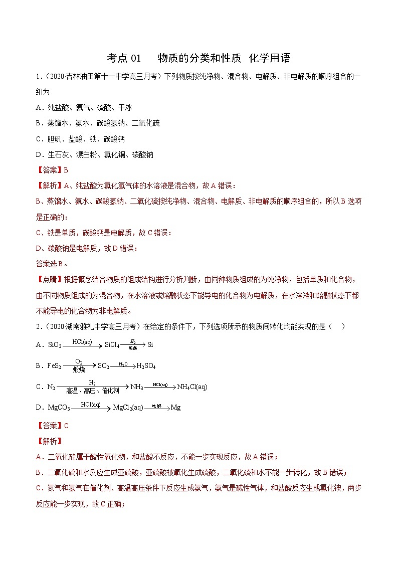 2021高中化学专题练习  考点01 物质的分类和性质 化学用语(解析版)01