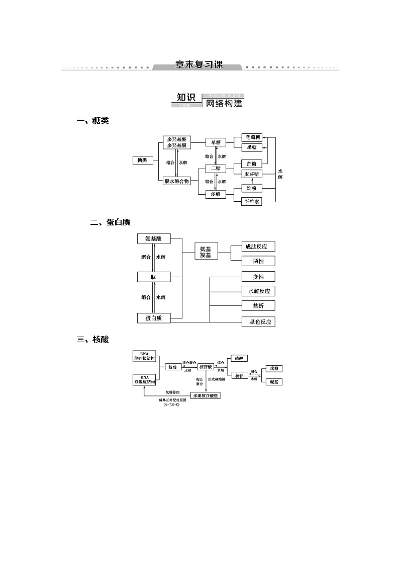 人教版（2019）高中化学选择性必修3  第4章  章末复习课 学案01