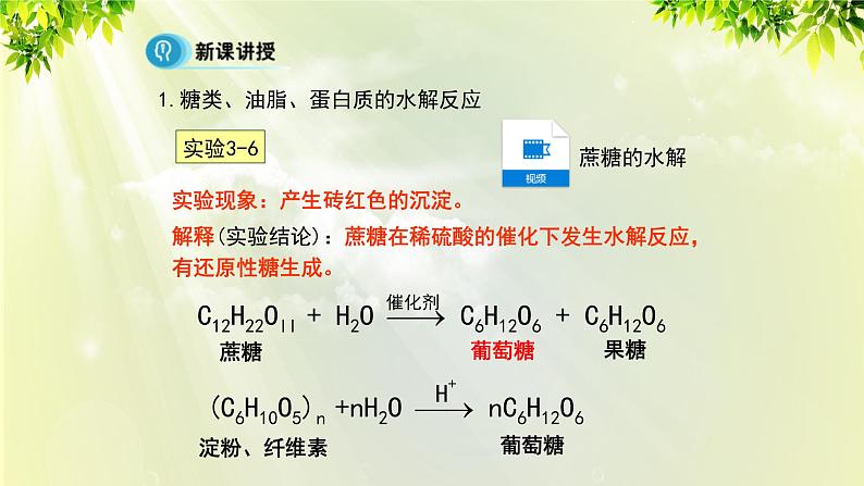 人教版高中化学必修二 第三章 有机化合物  第四节 《基本营养物质》课时2 课件06