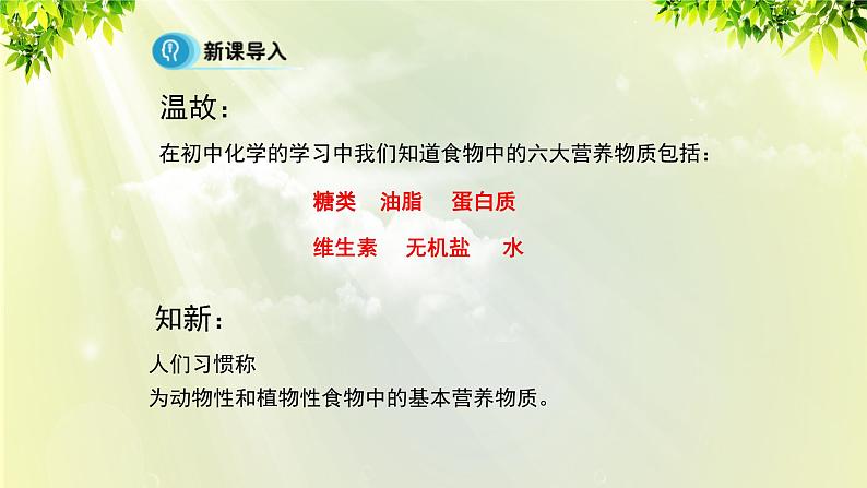 人教版高中化学必修二 第三章 有机化合物  第四节《 基本营养物质》课时1 课件05