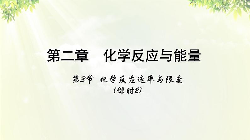 人教版高中化学必修二 第二章 化学反应与能量  第三节《化学反应的速率和限度》课时2 课件01