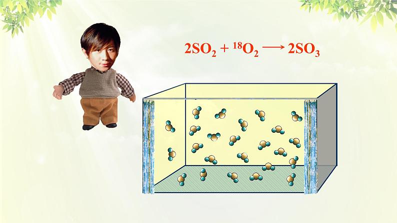 人教版高中化学必修二 第二章 化学反应与能量  第三节《化学反应的速率和限度》课时2 课件05