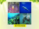 人教版高中化学必修二 第四章 化学与自然资源的开发利用  第一节 《开发利用金属矿物和海水资源》课时2 课件