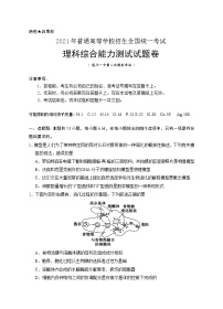 2021届宁夏银川一中高三下学期第二次模拟理综试题 word版（含解析）