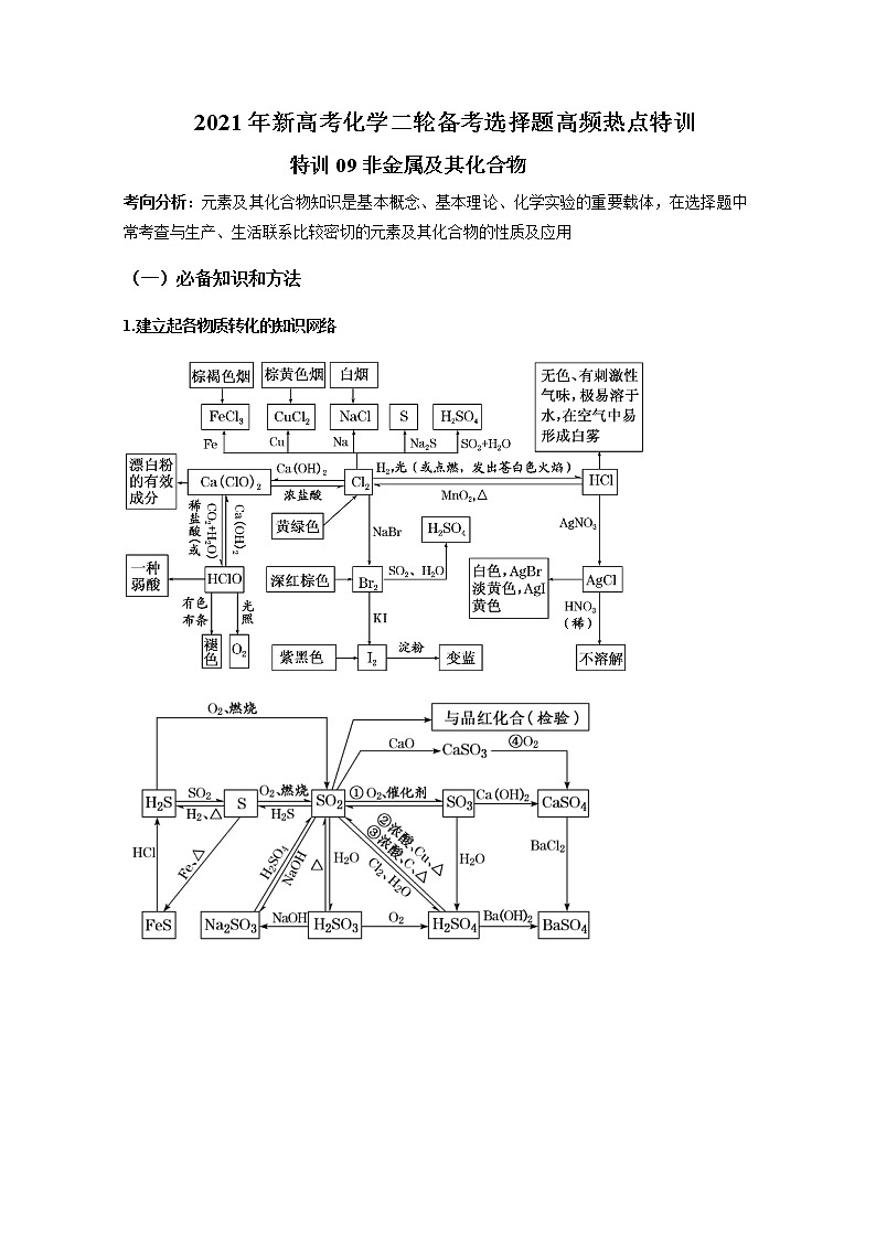 2021年新高考化学二轮备考选择题高频热点专项突破--专项突破09 非金属及其化合物01