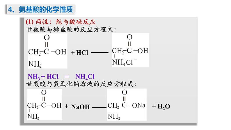 4-3蛋白质核酸(1)课件2020-2021学年人教版高二化学选修5有机化学基础08