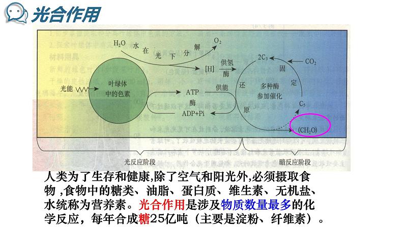 4-2糖类(1)课件2020-2021学年人教版高二化学选修5有机化学基础04