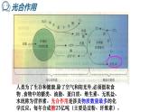 4-2糖类(1)课件2020-2021学年人教版高二化学选修5有机化学基础