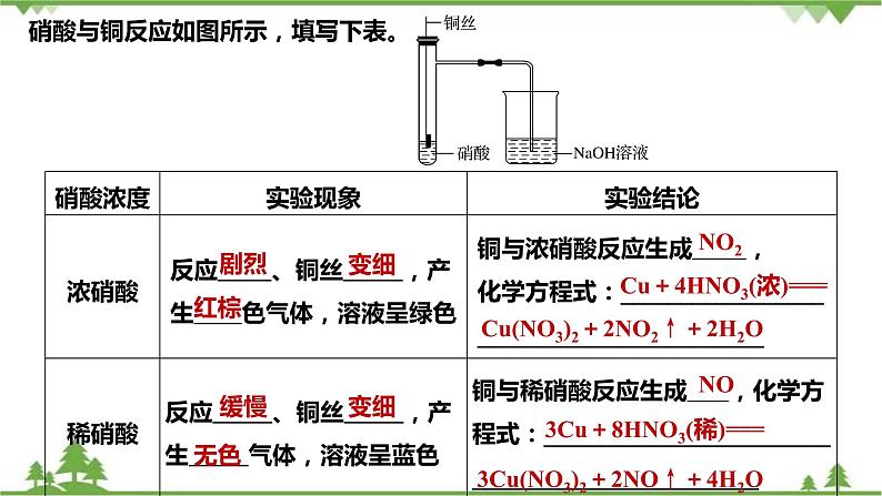 5.2.3 硝酸-高中化学新教材 同步教学课件（人教2019必修第二册）08