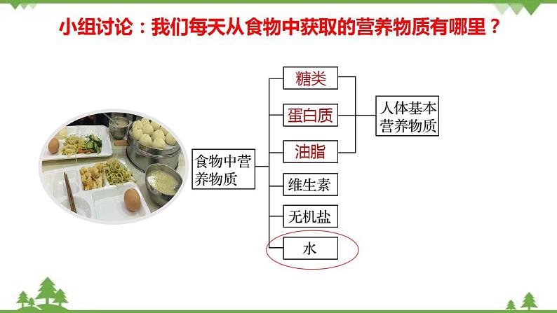 7.4.1 糖类-高中化学新教材 同步教学课件（人教2019必修第二册）04