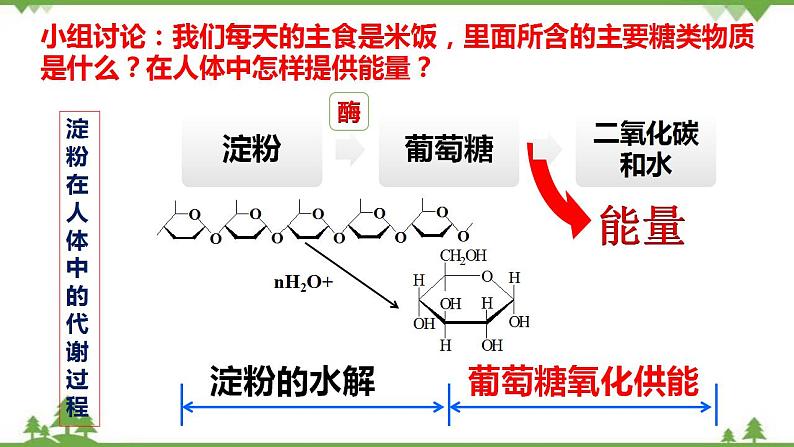 7.4.1 糖类-高中化学新教材 同步教学课件（人教2019必修第二册）07