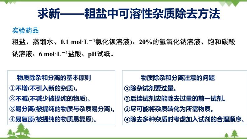 5.4 用化学沉淀法去除粗盐中的杂质离子-高中化学新教材 同步教学课件（人教2019必修第二册）08