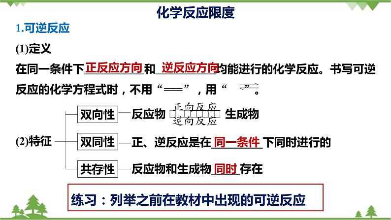 6.2.2 化学反应的限度-高中化学新教材 同步教学课件（人教2019必修第二册）04