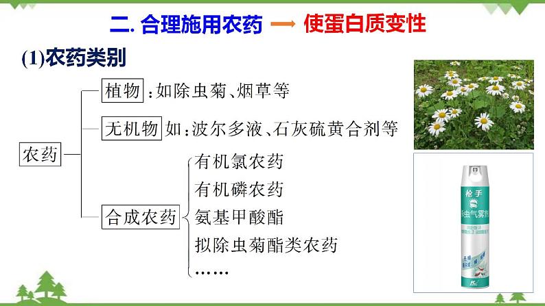 8.2.1 农药、化肥的合理施用、合理用药-高中化学新教材 同步教学课件（人教2019必修第二册）08